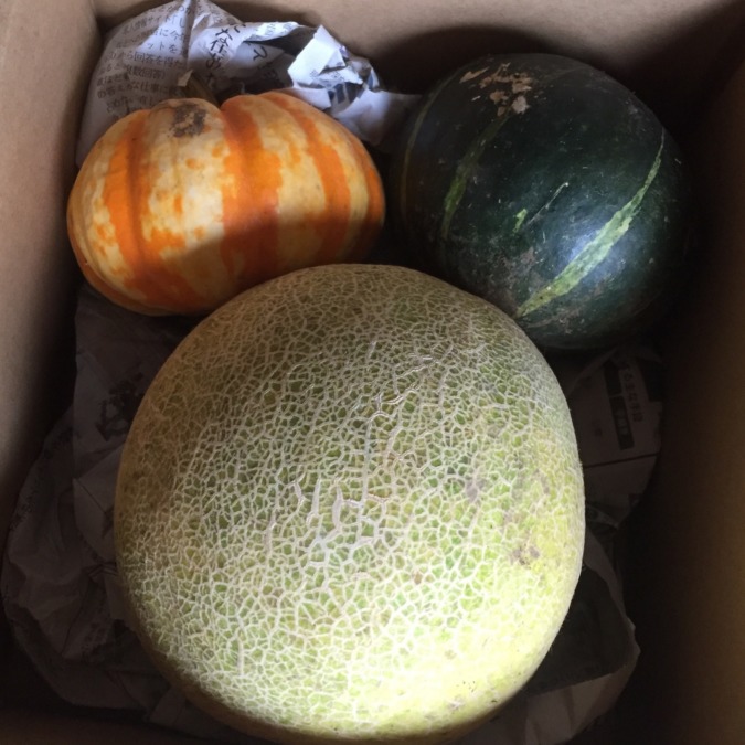 【はたけしごと：コンプリート】めろん配送完了。