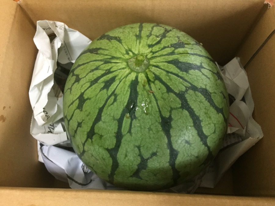 【はたけしごと：コンプリート】すいか配送完了。