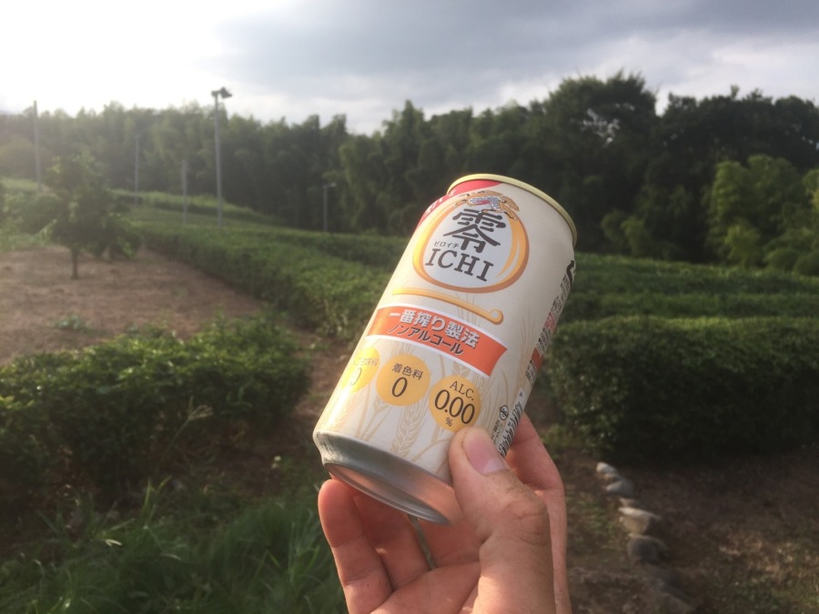 おちゃです。雑草の除去の後は、、、！！