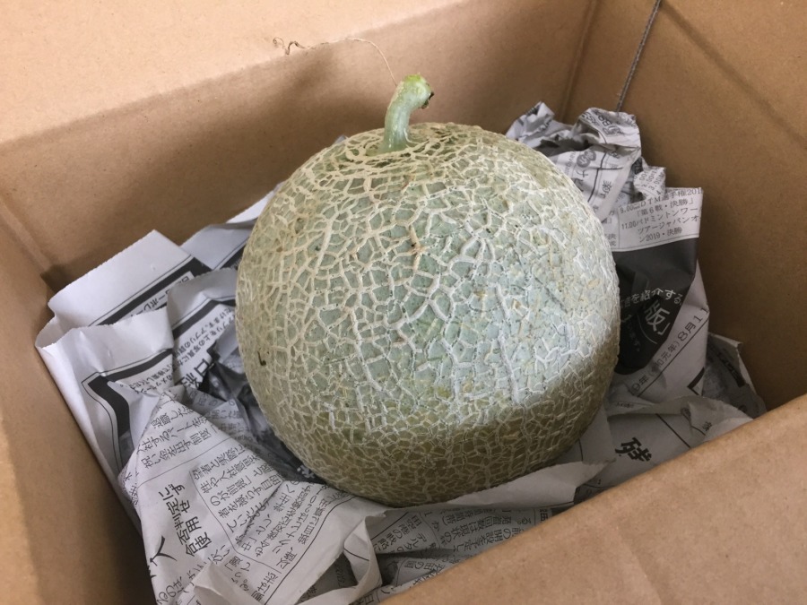 【はたけしごと：コンプリート】めろん配送完了。