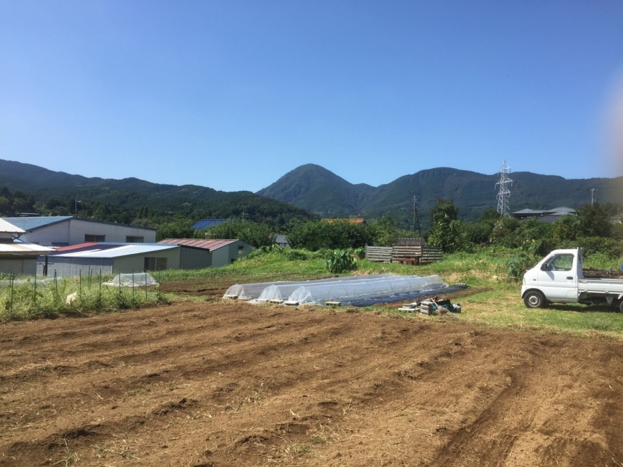 【教養・大喜利】こんな風景、なんと表現する？天高く・・・