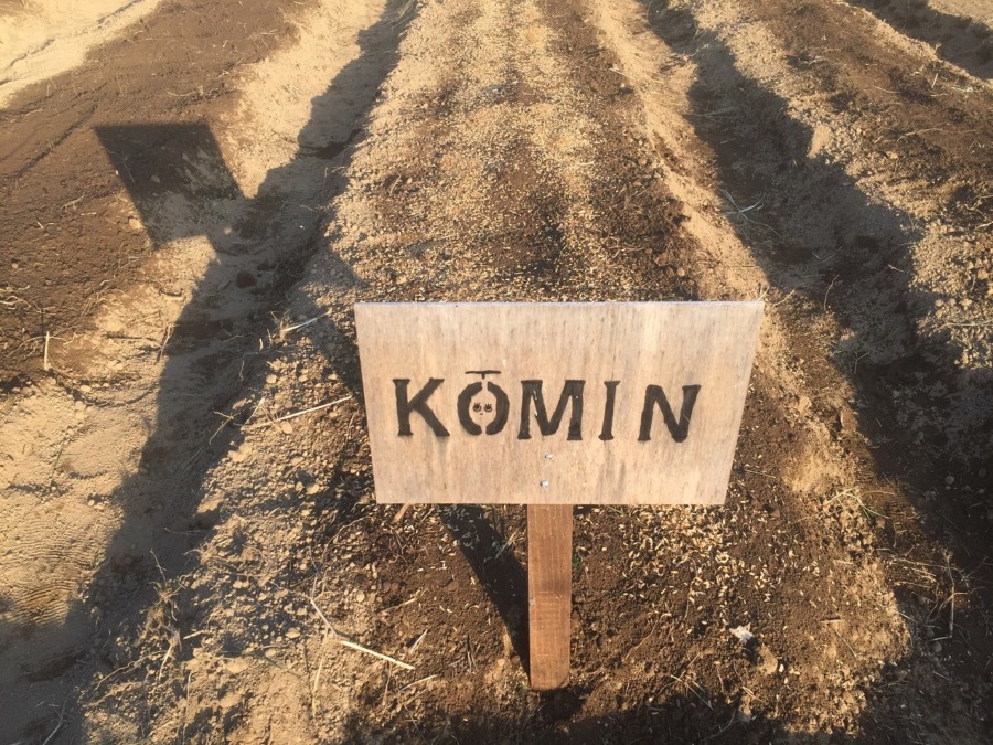 【フォト】種まき完了！