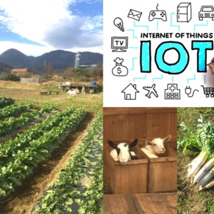 【開催御礼】10月6日（日）｜IoT×AI×はたけ！暮らしとつながる未来のはたけ体験
