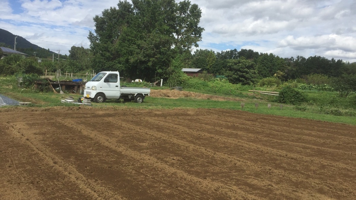 【フォト】はたけの様子。