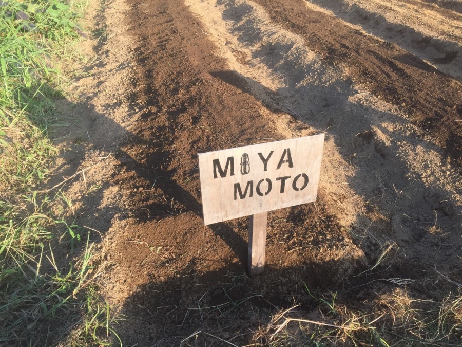 【フォト】種まき完了！