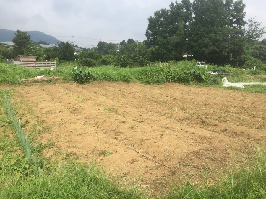 足柄でも、秋冬シーズンの準備完了！明日耕しの予定。