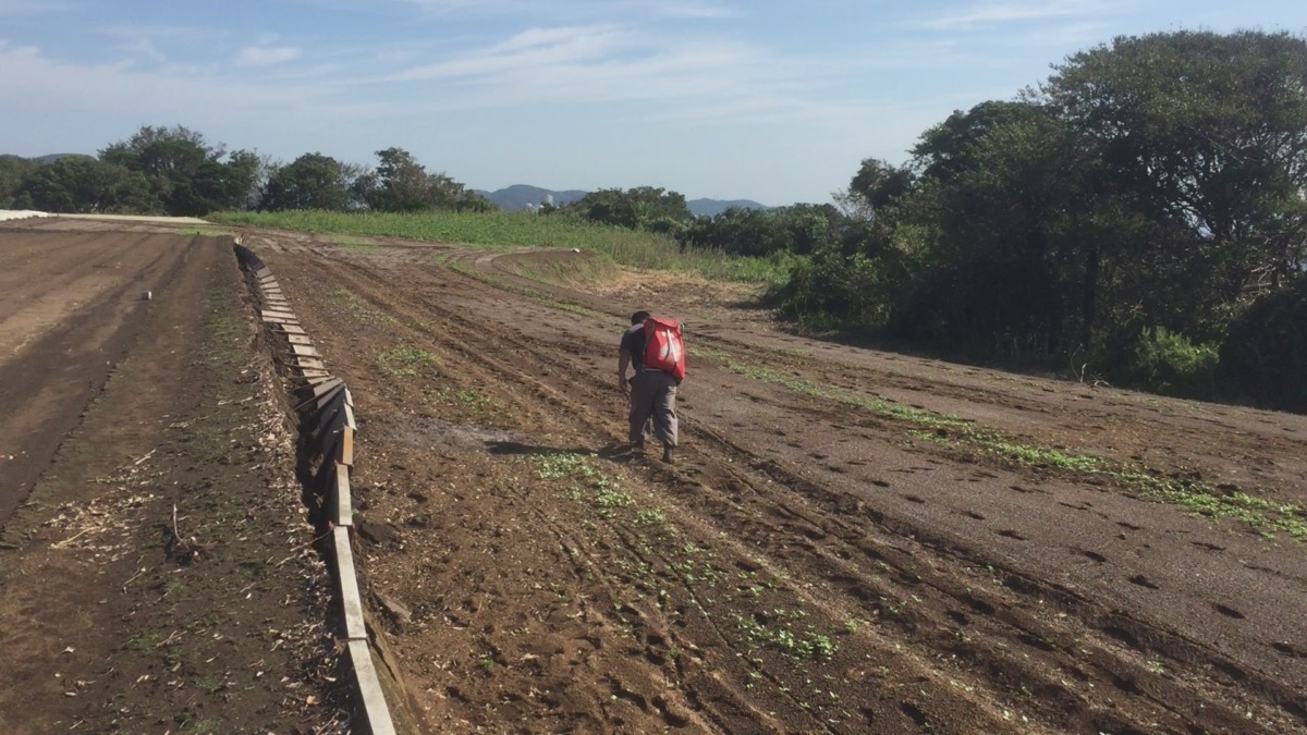 【動画実演】サンパーを使った肥料ふり。