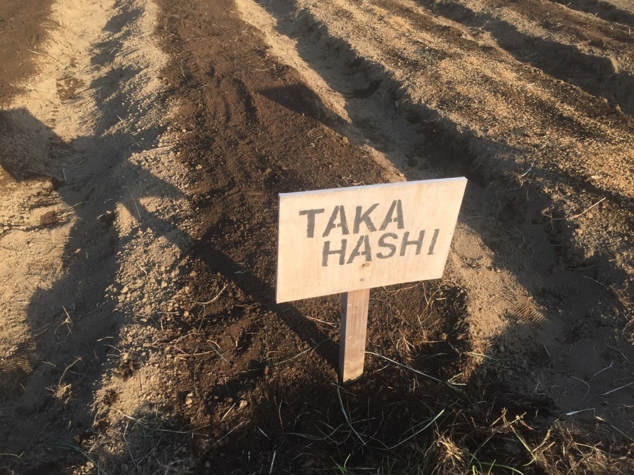 【フォト】種まき完了！