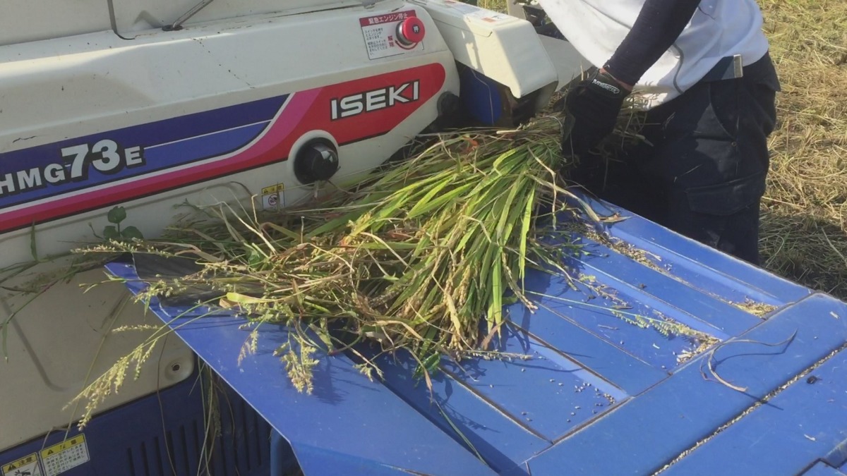 【動画実演】ハーベスター（脱穀機）とは。