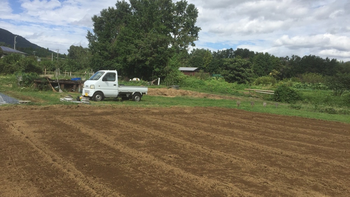 【フォト】はたけの様子。