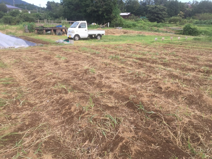 【フォト】いざ！秋冬野菜の植え付けに向けて。