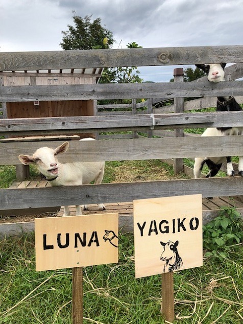 気に入ってくれるかな？