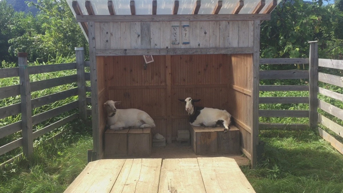 【はたけでオカリナ♬】特等席で聞けたyo。