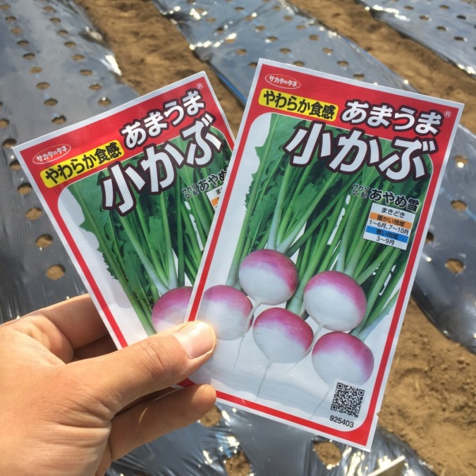 【はたけしごと】種まき♬