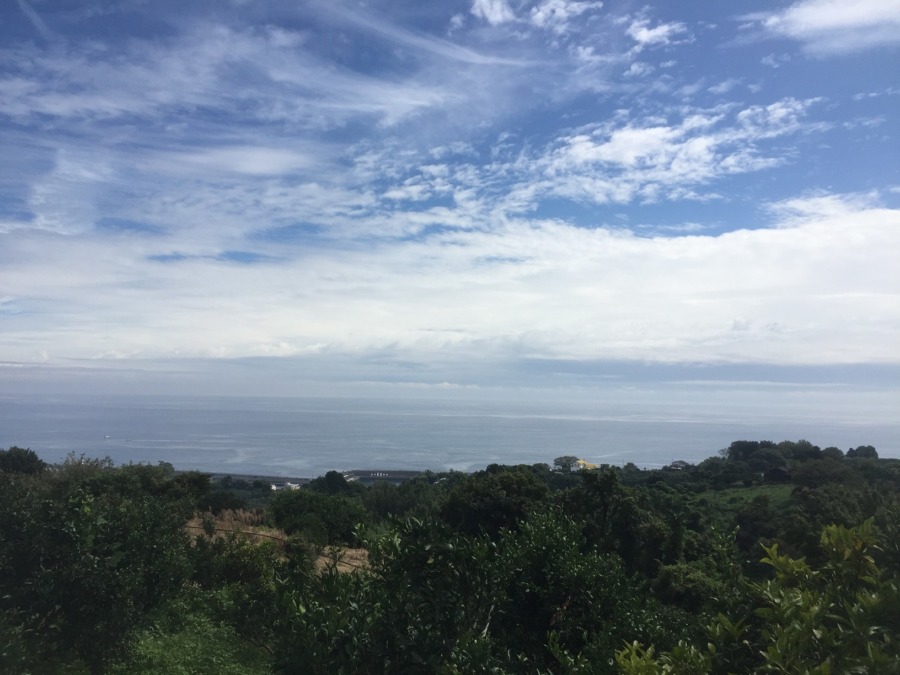 【ドローン♬】早川みかん畑を空撮。