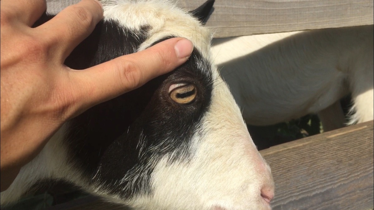 そこ見ちゃだメ。