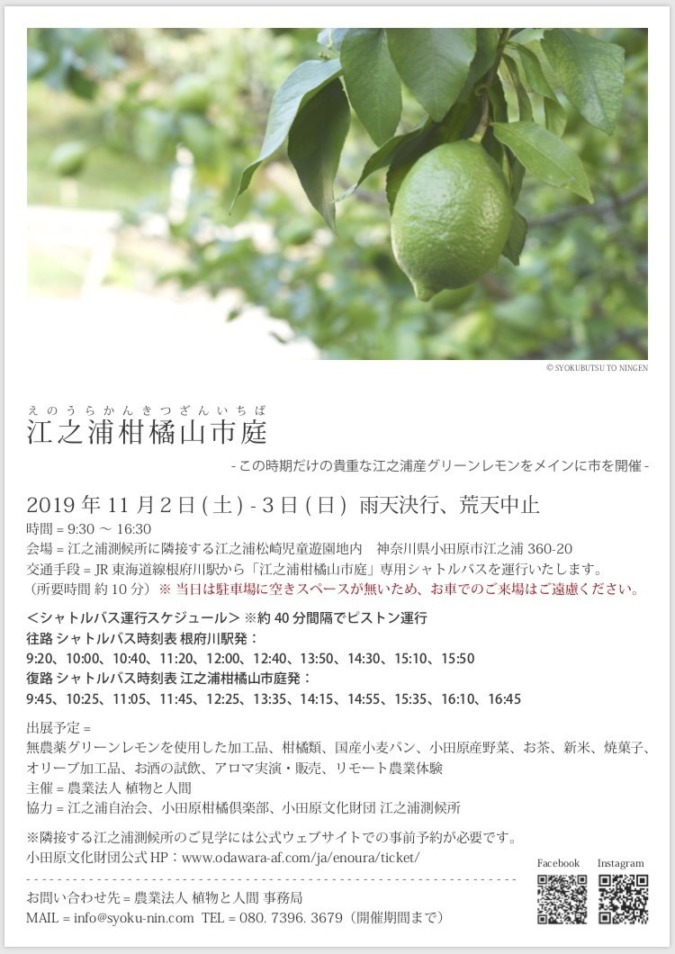 【マルシェ】11月2, 3日|江之浦柑橘山市庭(えのうらかんきつざんいちば)に出展