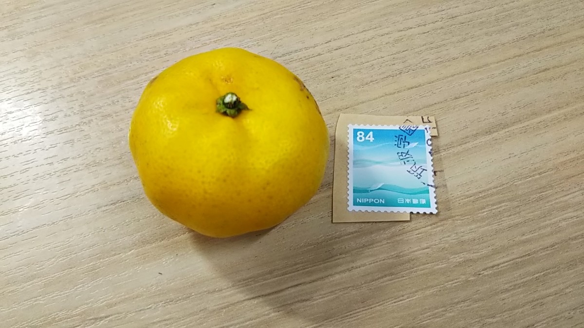 福来みかん。←なんて読むでしょう？