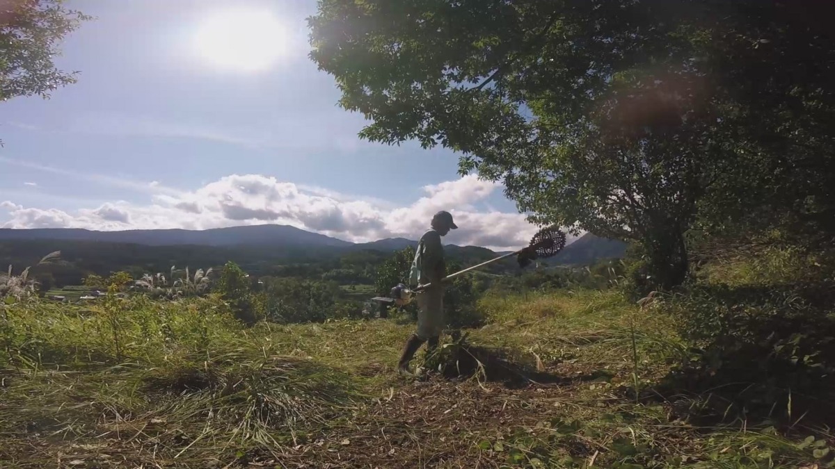【タイムラプス】久々の神社下の畑。草刈り→耕耘。