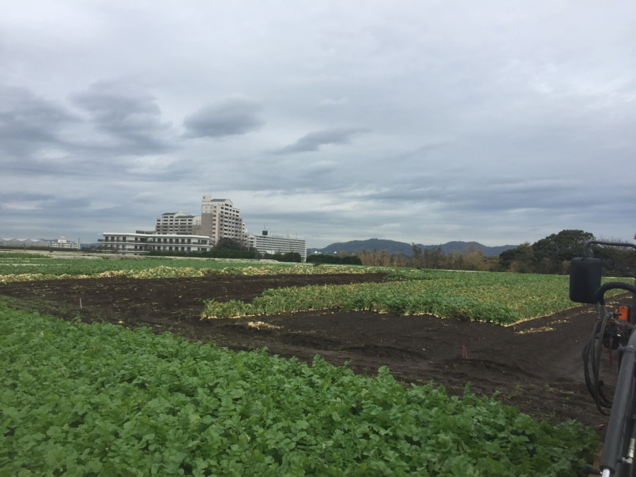 【Oh…】台風19号影響で、ちょっと大変です。＠三浦海岸