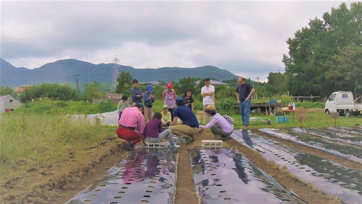 【はたけしごと】みんなで種まき→トンネルづくり♬