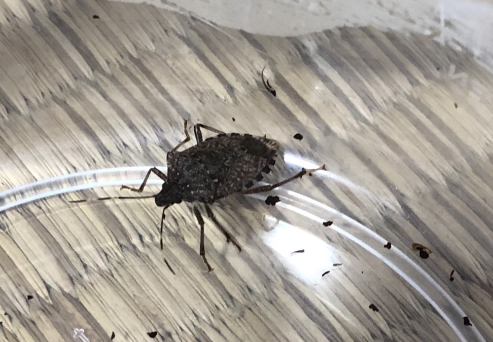 台風の日のお客さま