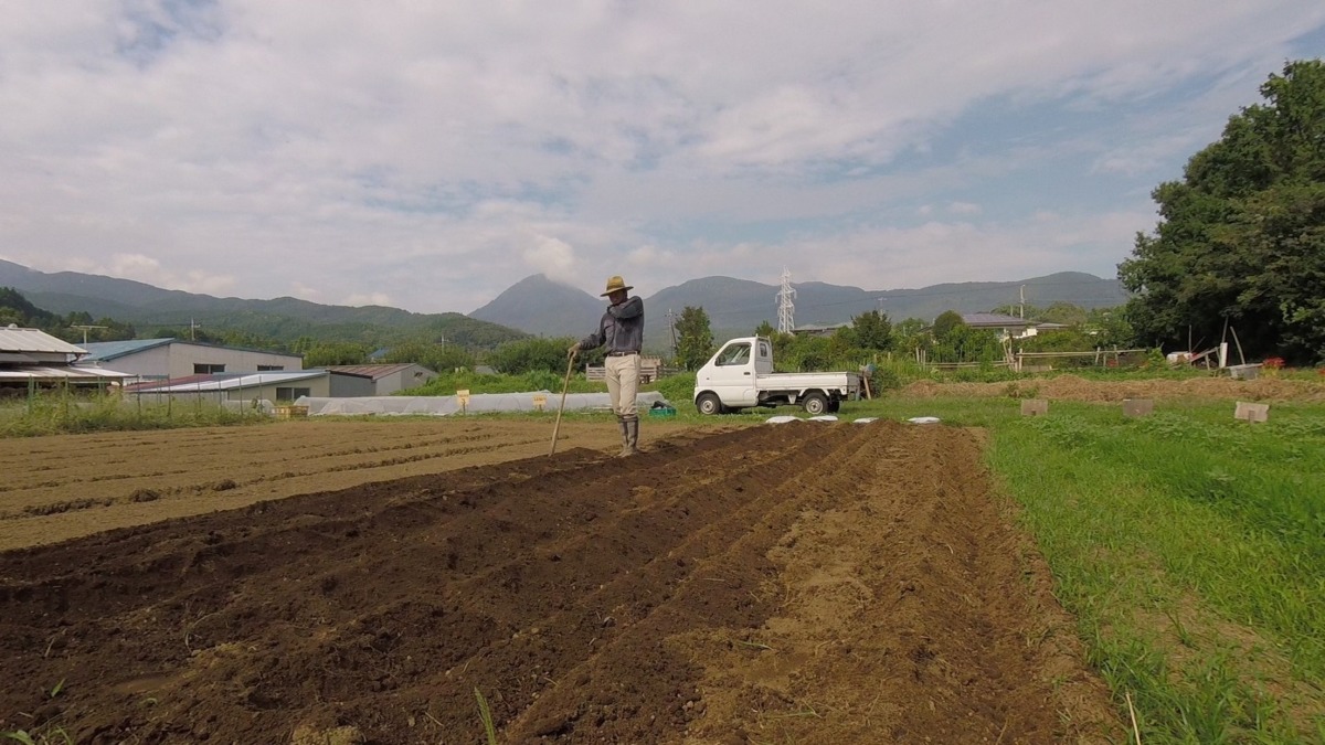 【はたけしごと】畝たて・元肥♬