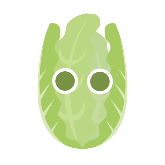 【データ】はくさいの場合