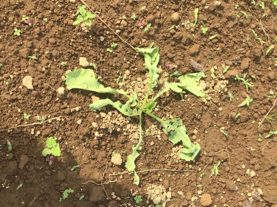 「ギャー」になってしまった箇所は、新たなスタートを。