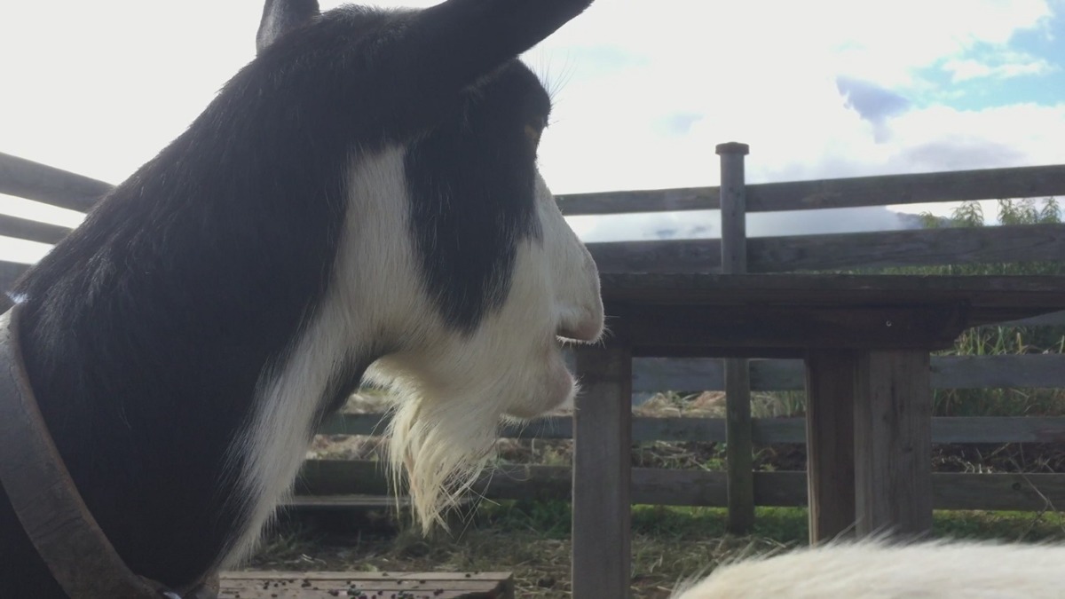 【今日のもぐもぐ】いつも思うんだけど、