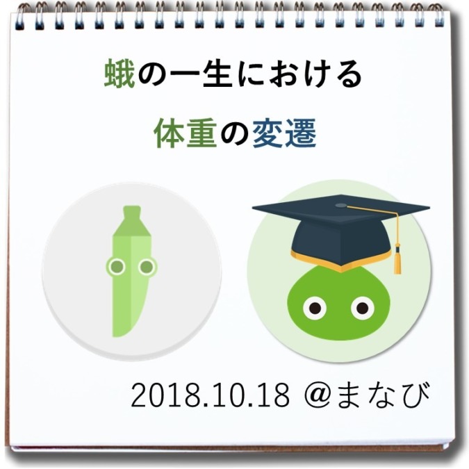 【紙芝居（復刻）】蛾の一生における体重遷移（全21枚）