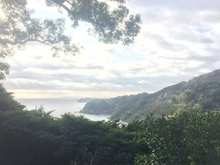 片浦の海。朝。