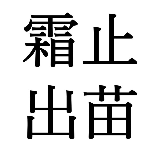 【穀雨次候】霜止出苗｜しもやんでなえいづる（4/25～4/29頃）