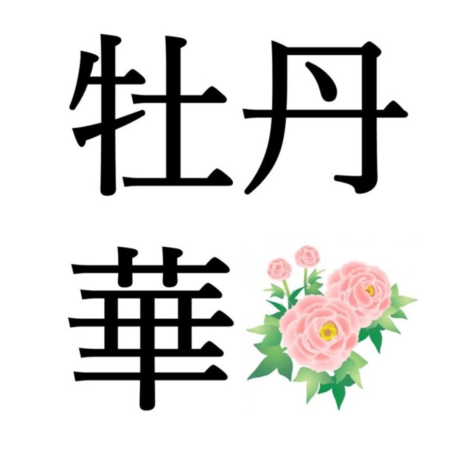 【穀雨末候】牡丹華｜ぼたんはなさく（4/30～5/4頃）