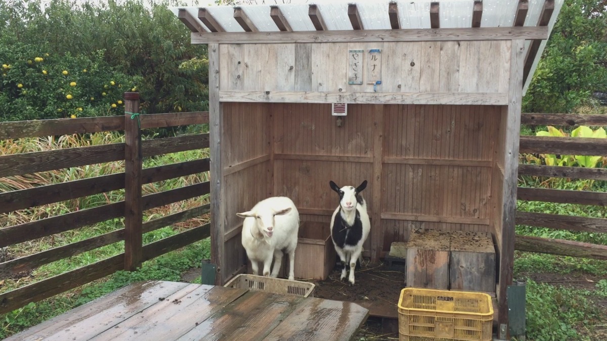 雨、ひま、とりあえず声を出す。