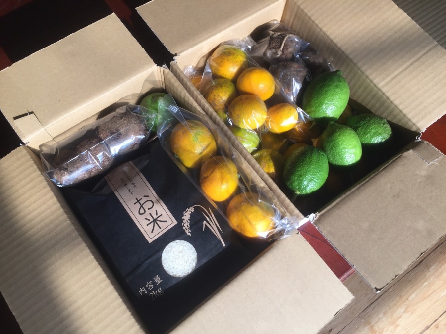 【11月の配送開始】さといもの他には、、、