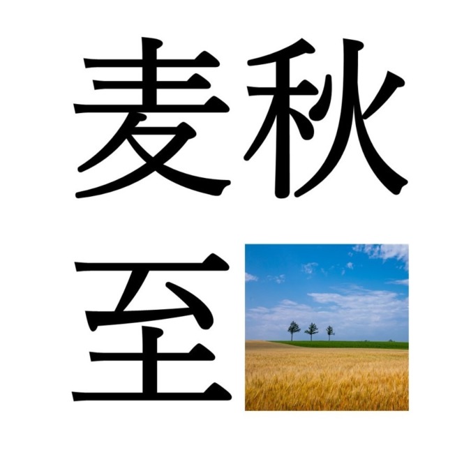 【小満末候】麦秋至｜むぎのときいたる（5/31～6/4頃）