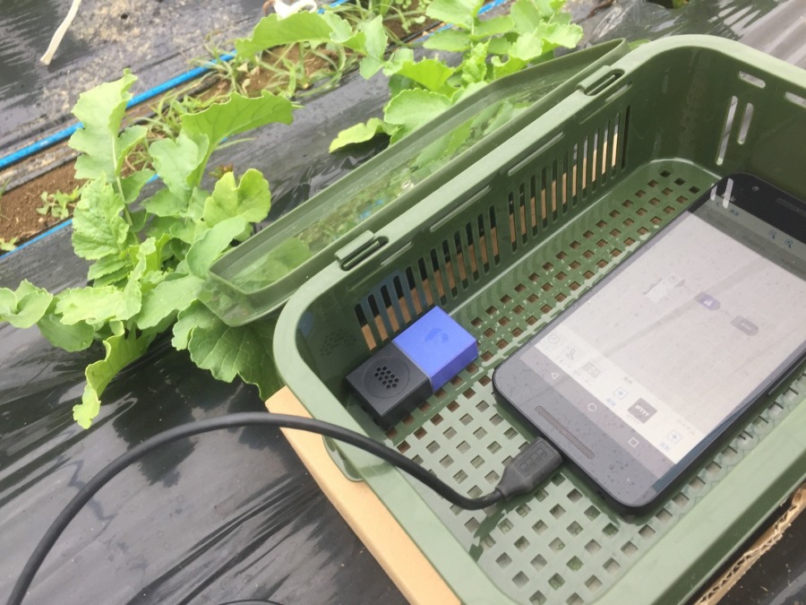 【ギフテ！実験】トンネル内外気温差データの公開を始めました。