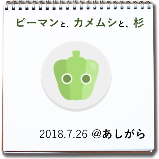 【紙芝居】ピーマンと”かめむし”と杉（全23枚）