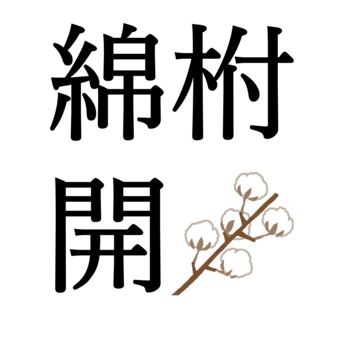 【処暑初候】綿柎開｜わたのはなしべひらく（8/23～8/27頃）