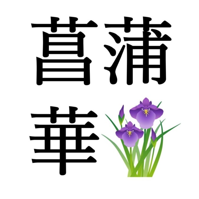 【夏至次候】菖蒲華｜あやめはなさく（6/26～6/30頃）