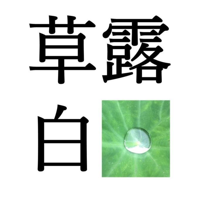 ★今ここ→【白露初候】草露白｜くさのつゆしろし（9/7～9/11頃）