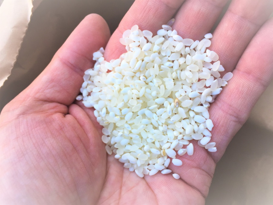 【籾摺り＆精米のご報告】もち米『喜寿（きじゅ）』。