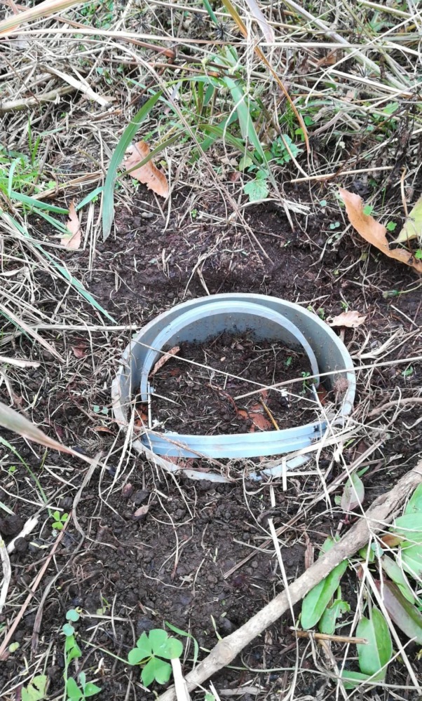 わな、外しておいたゾ。