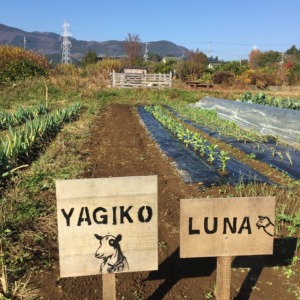 畑の空いたところで、麦の種まき。誰のため、、、？？