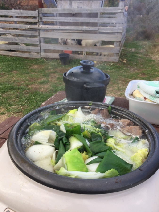 【開催御礼】12月28日（土）｜はたけでゆっくりする会（はたけ納め）