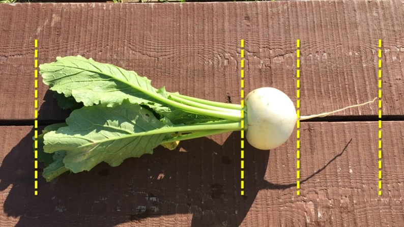 【ディープ＆マニアック】こう見てみると、気になってきませんか？