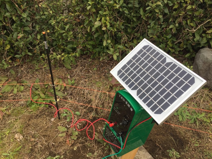 電気柵設置されたゾ。この畑にのっしッシしようか思案中。