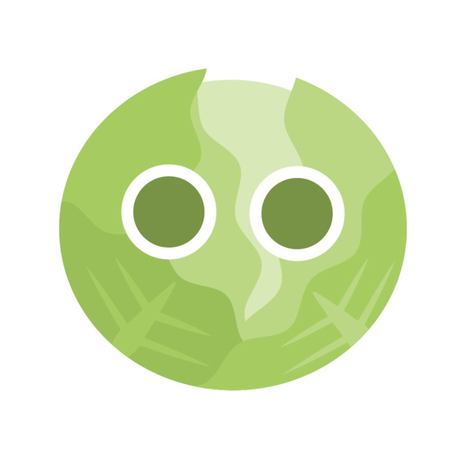 【データ】きゃべつの場合