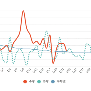 【分析ルナちゃん】2020年1月はこんな感じ